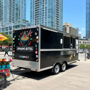 16ft Commercial Food Vans Concession Street Mobile Truck Cart Fast Food Trailer With Full Kitchen for Sale USA Europe Australia
