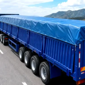 Custom Built Heavy Load Trailer With 90mm King Pin and 12 00R22 5 Tyres for Challenging Road Conditions Semi Trailer