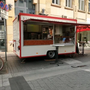 Custom Mobile Street Vending Carts Food Truck Used Car Van Food Trailers with Freezer