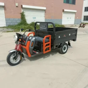 Differential Motor Tricycle Heavy Duty 60V 72V 1000W Tricycle 3 Speed Gears 20ah 58ah Battery 100km Cargo Utility Trailers