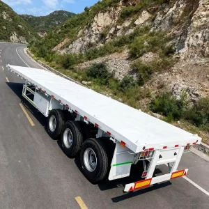 Durable 40ft 20ft Container Normal Bulk Cargo 3 Axles Flat Bed Semi Trailer Flatbed Container Trailer