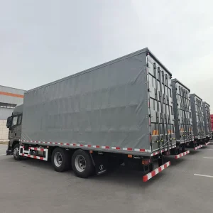 Low Fuel Consumption Left Right Hand Drive Cargo Trailer Truck X3000 for Central Asia Rough Roads Logistics Transport