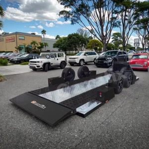 Luxury Car Trailer Transportation Tilt Race Car Trailer 2 Axle Car Carrier Trailer